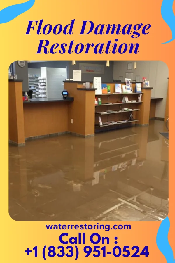 Flood Damage Restoration in Cherokee City, AR