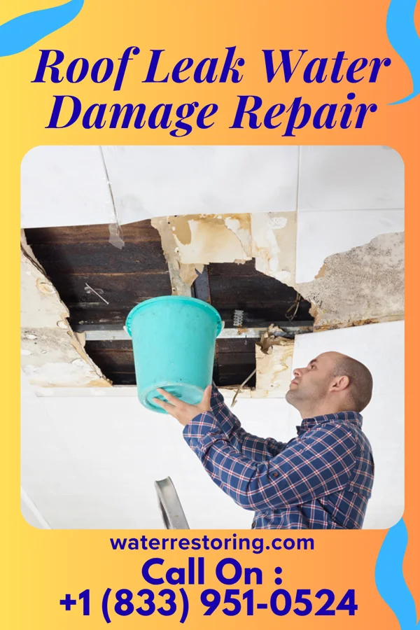 Roof Leak Water Damage Repair in Cherokee City, AR